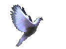 MisterShortcut deeply thanks whoever created this magnificent dove for credit praise and homage is due to the genius who created this dove -- khapped by MisterShortcut in the name of spreading it around the world